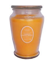 Jar Candle, 18oz. - Tropical Papaya & Mango
