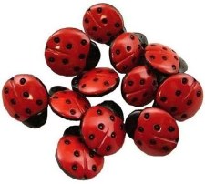 Dress It Up Buttons -  Ladybugs