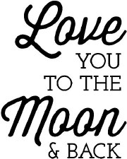 " Love You To The Moon and Back" Vinyl - Gold Metallic