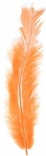 Turkey Flat Feather - Orange