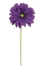Medium Gerbera Daisy, 21.5" - Purple