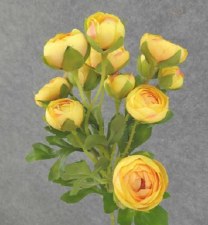 Mini Ranunculus Spray, 22" - Yellow