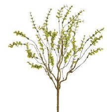 Mini Eucalyptus Bush, 19" - Green