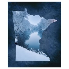 MN Winter Panel
