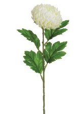 Mum Spray, 23" - White