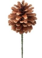 Natural Cone Pick, 2.5"