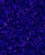 Nature's Palette Bolted Fabric  - Amethyst