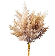 Pampas Grass Bundle, 14" - Beige