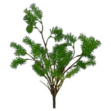Dill Plant, 17"