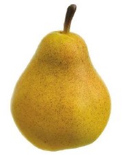 Soft Pear, 3.25" - Yellow