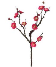 Plum Blossom Spray, 18" - Two Tone Fuschia