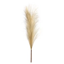 Pampas Stem, 27"- Light Brown