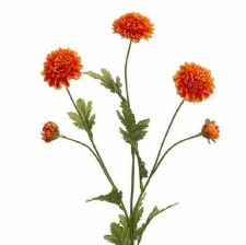 Pompon Mum Spray, 27" - Orange