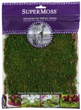 SuperMoss Reindeer Moss 4 oz / Chartreuse