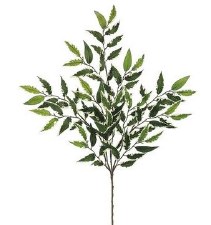 Smilax Spray 27" - Variegated Leaves