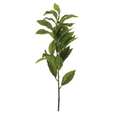 Coffee Leaf Spray, 24"