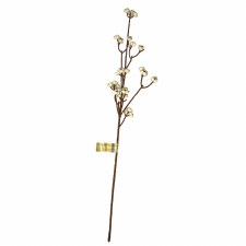 Tallow Berry Spray, 19'