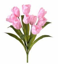 Tulip Bush, 20" x9 - Pink