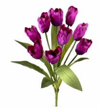 Tulip Bush, 20" x9 - Purple