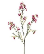 Waxflower Spray, 27"- Mauve