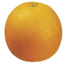 Weighted Tangerine , 2.5" - Orange