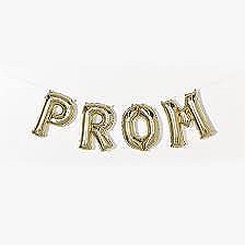 Prom Banner Kit