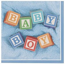 Baby Boy Blocks Lunch Napkins