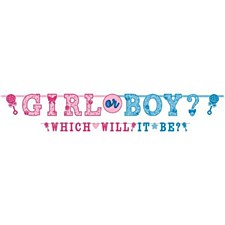 Girl or Boy Gender Reveal Banner