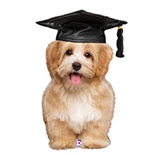 32"Grad Puppy