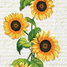 Sunflower Bev.Napkins
