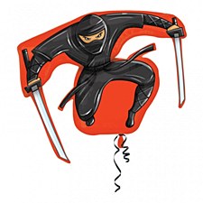 33"Ninja