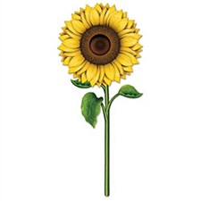 Sunflower Cutout