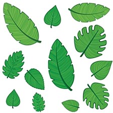 Tropical Leaf Cutout