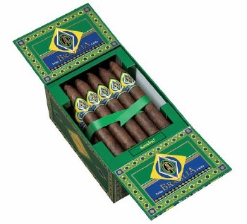 CAO Brazilia Samba