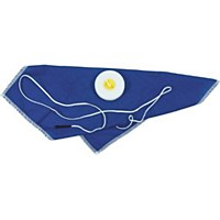 Swab SAX Hanky