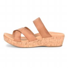kork ease camellia