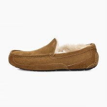 mens ugg ascot slippers chestnut