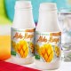 SS15 Aloha Mango Smoothie