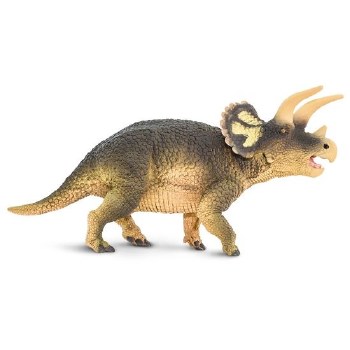 Triceratops