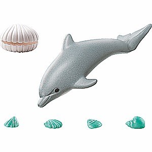 Young Dolphin