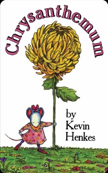 Chrysanthemum