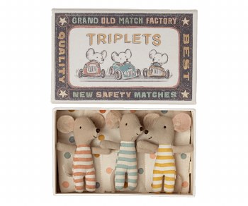 Triplets Baby Mice in Matchbox