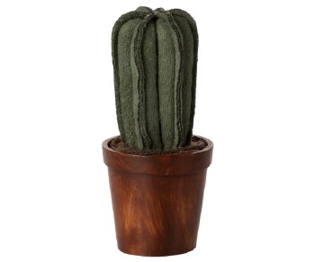 Flower Pot Cactus