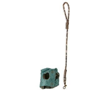 Pet Harness and Leash mint