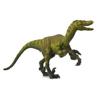 Velociraptor
