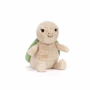 Thimble Turtle