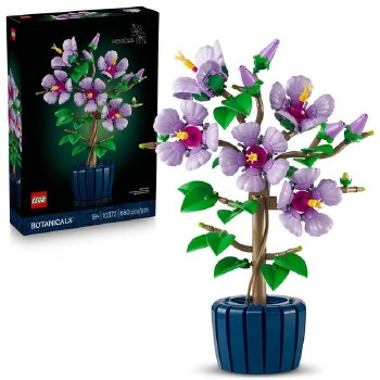 Hibiscus