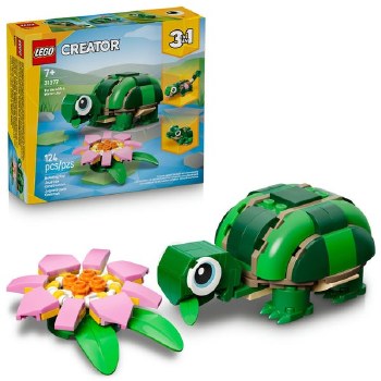 Turtle with a Water Lily Flower