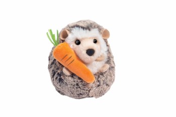 Spunky Hedgehog with Carrot