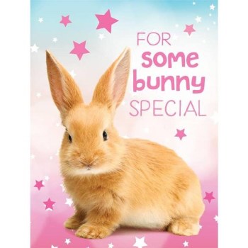 Bunny Gift Enclosure